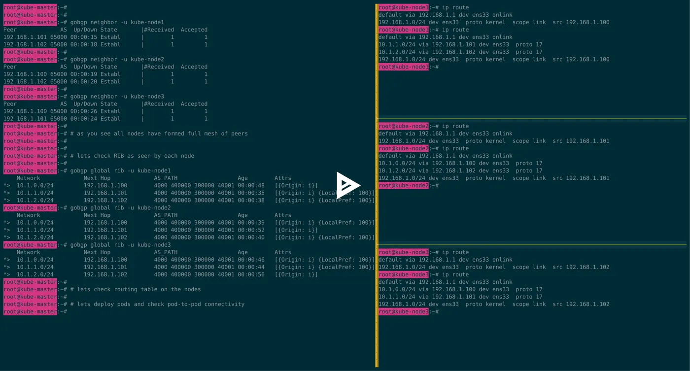 asciicast